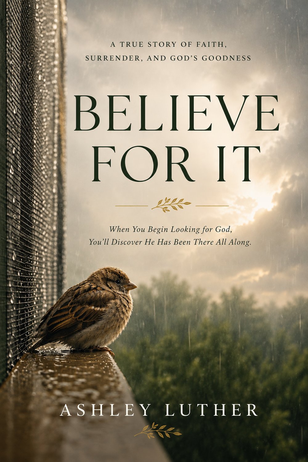 Cover of Believe For It by Ashley Luther: a sparrow on a rain-soaked ledge beneath breaking clouds